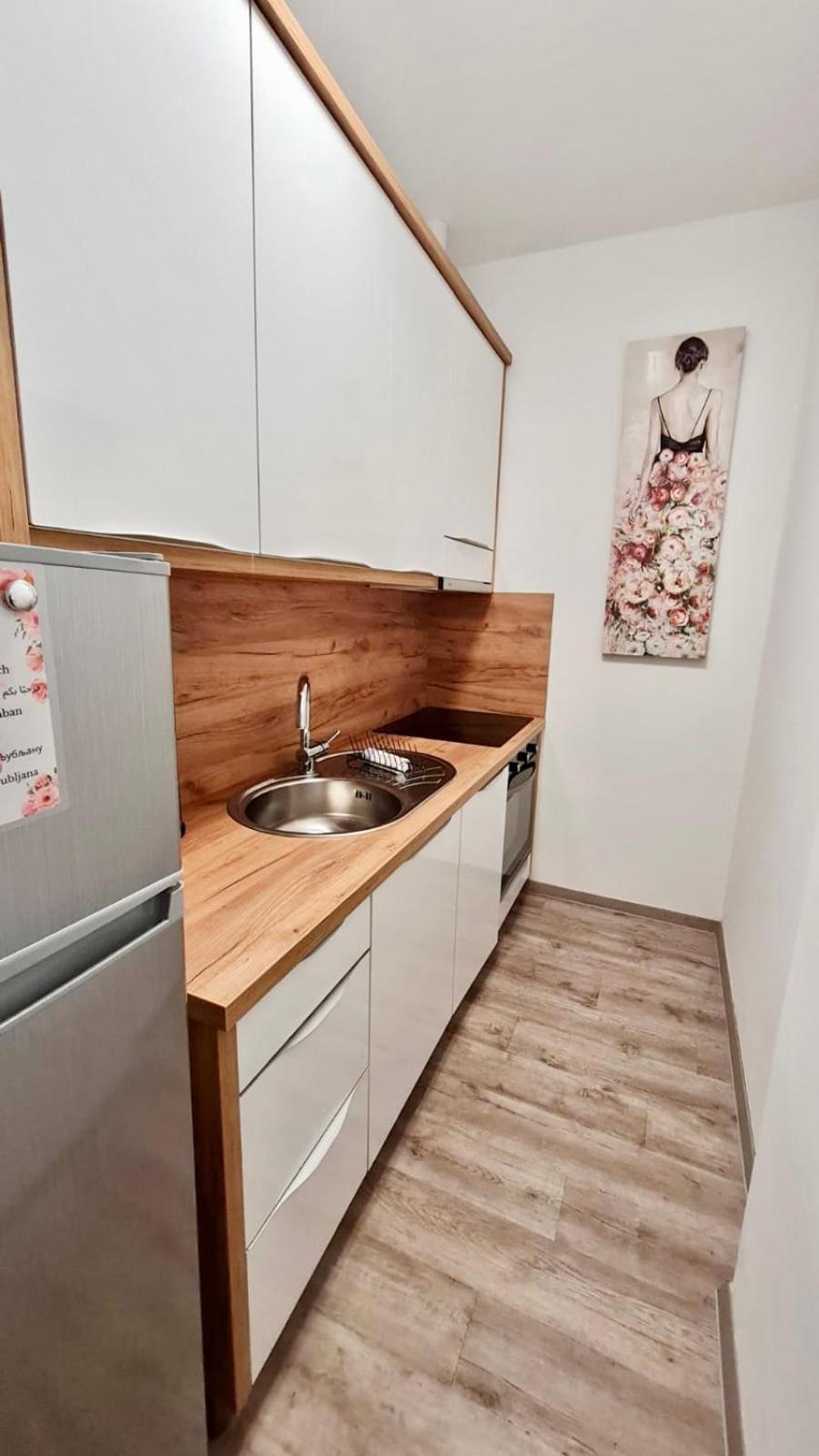 Ljubljana Central Lux Apartment With Free Parking Buitenkant foto